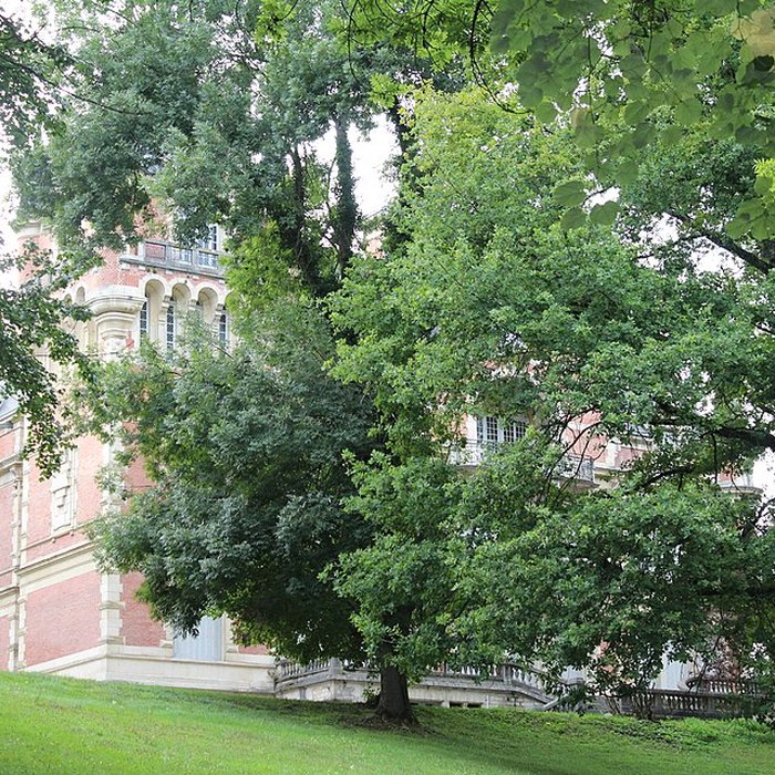 Photo de Château de la Tour à Neuville-sur-Ain