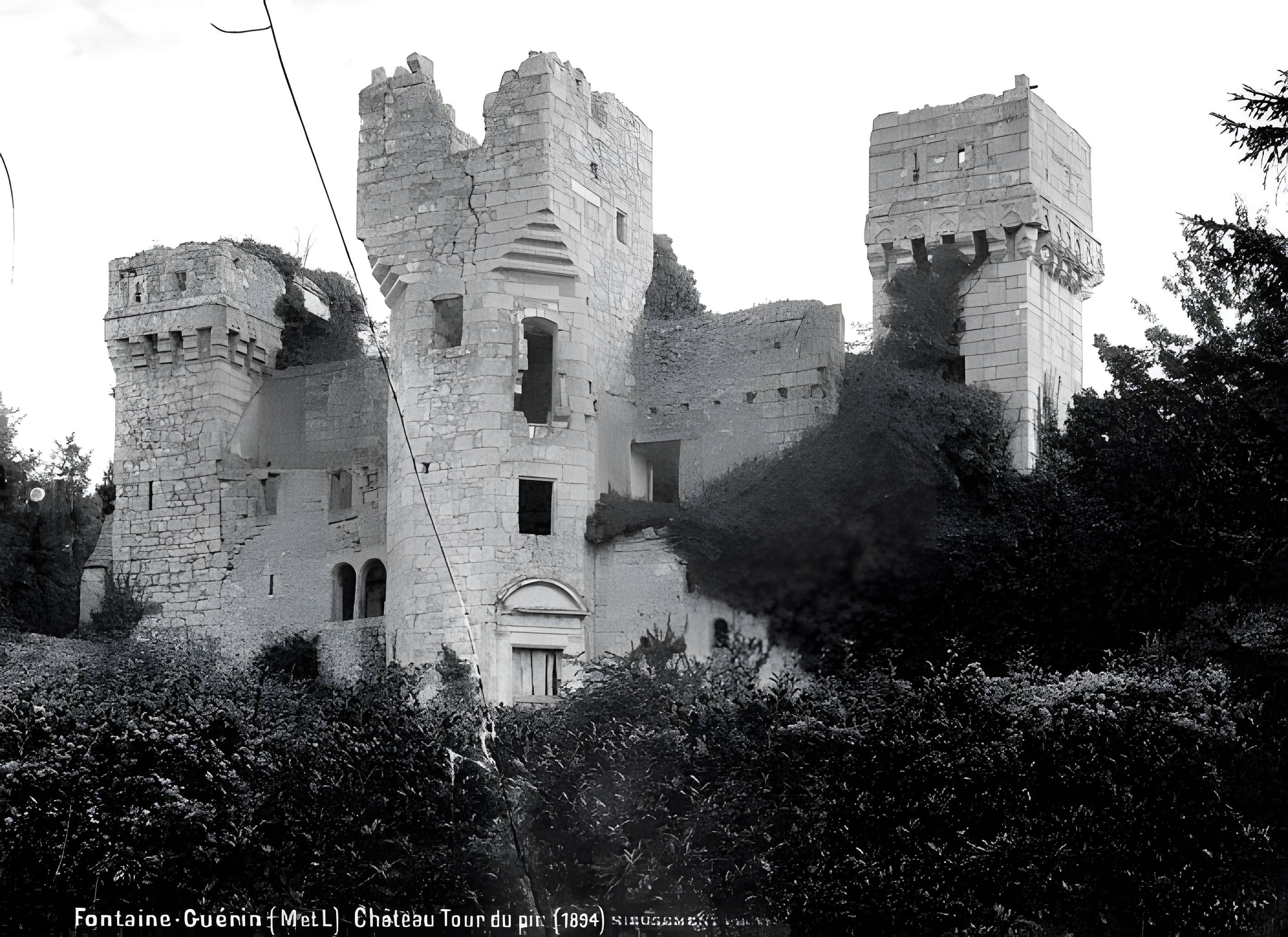 Château de La Tour du Pin 