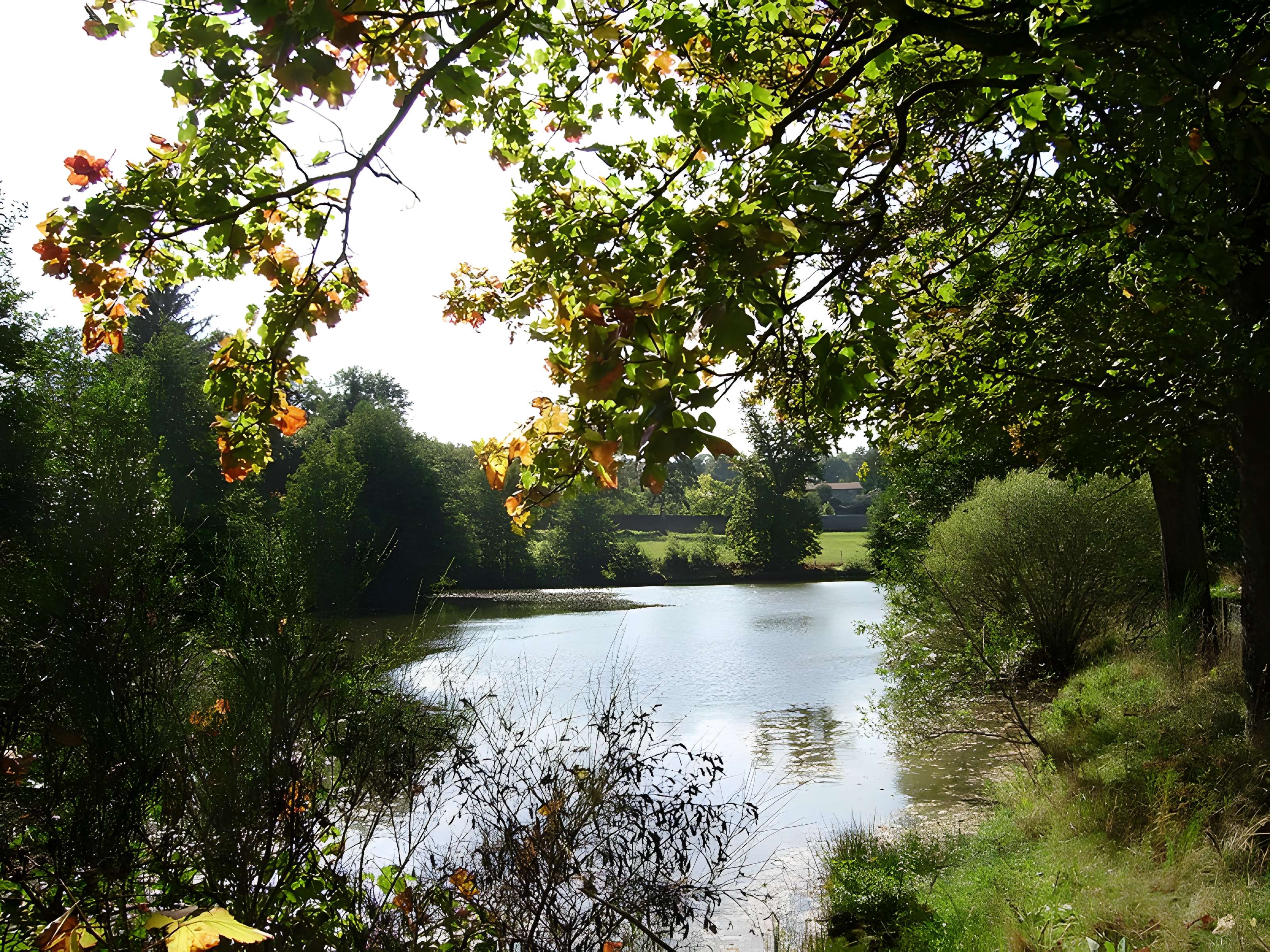 Château de la Tour-Maubourg