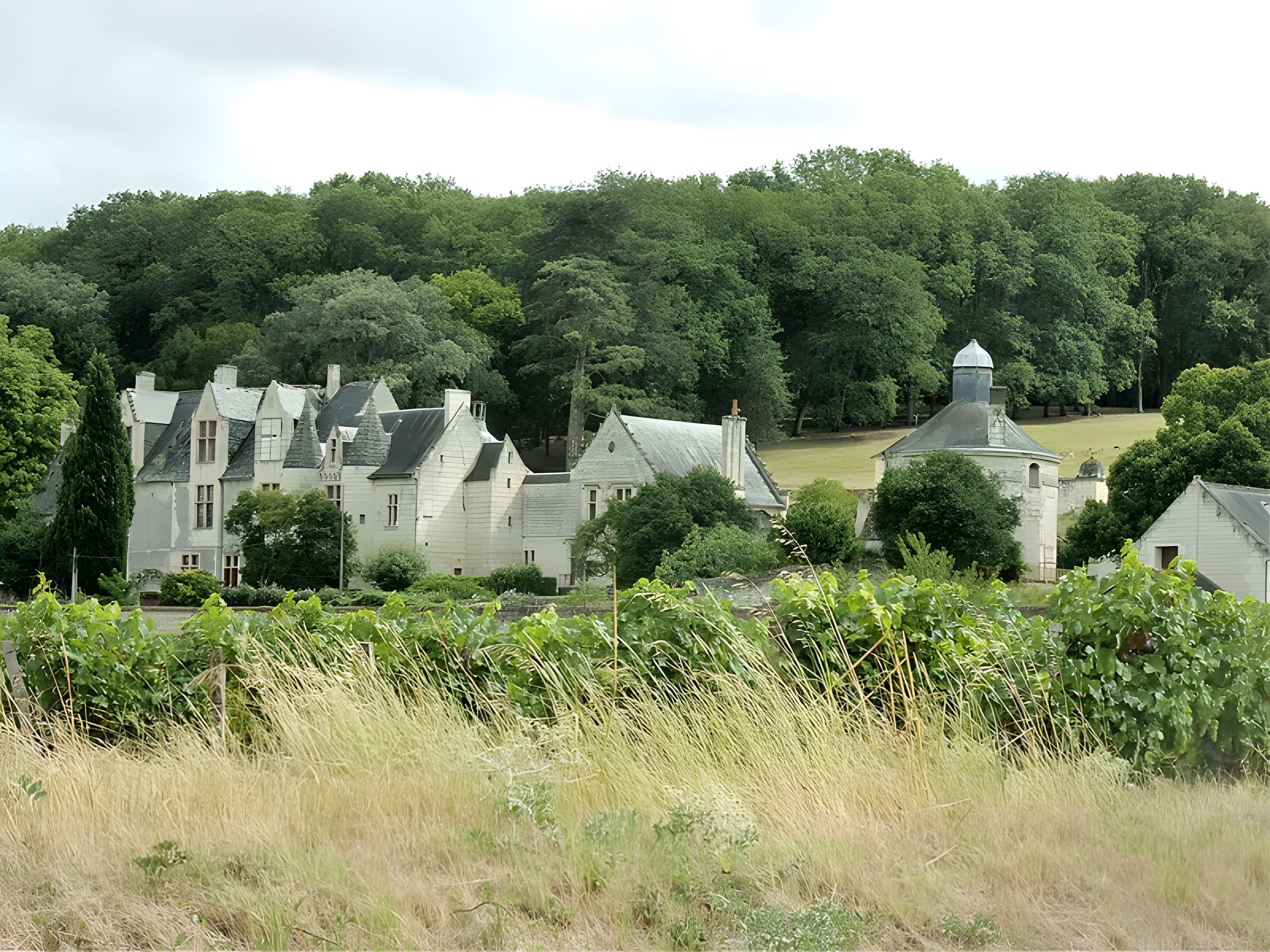Château de la Vauguyon