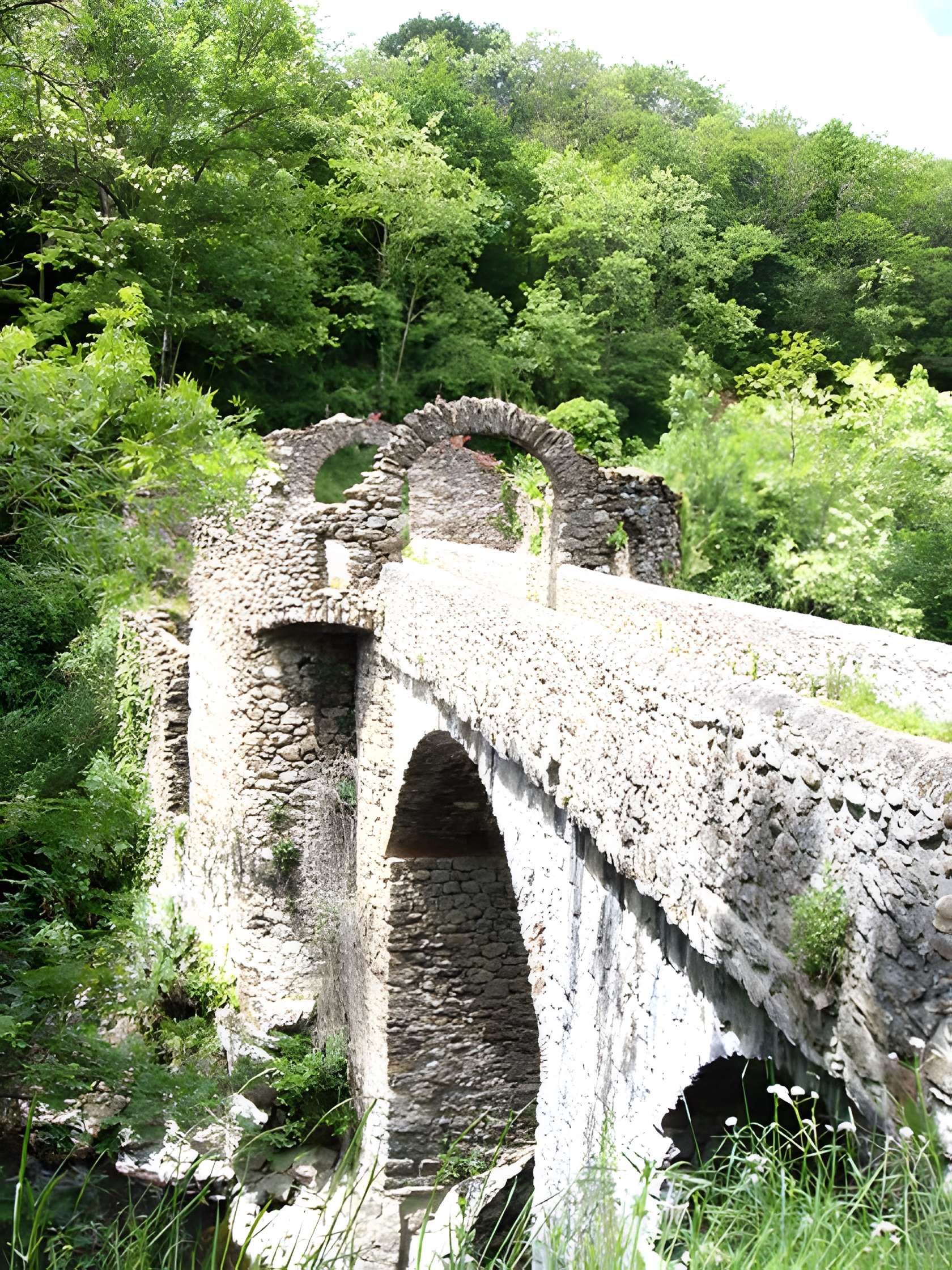 Pont du Diable de Montoulieu 