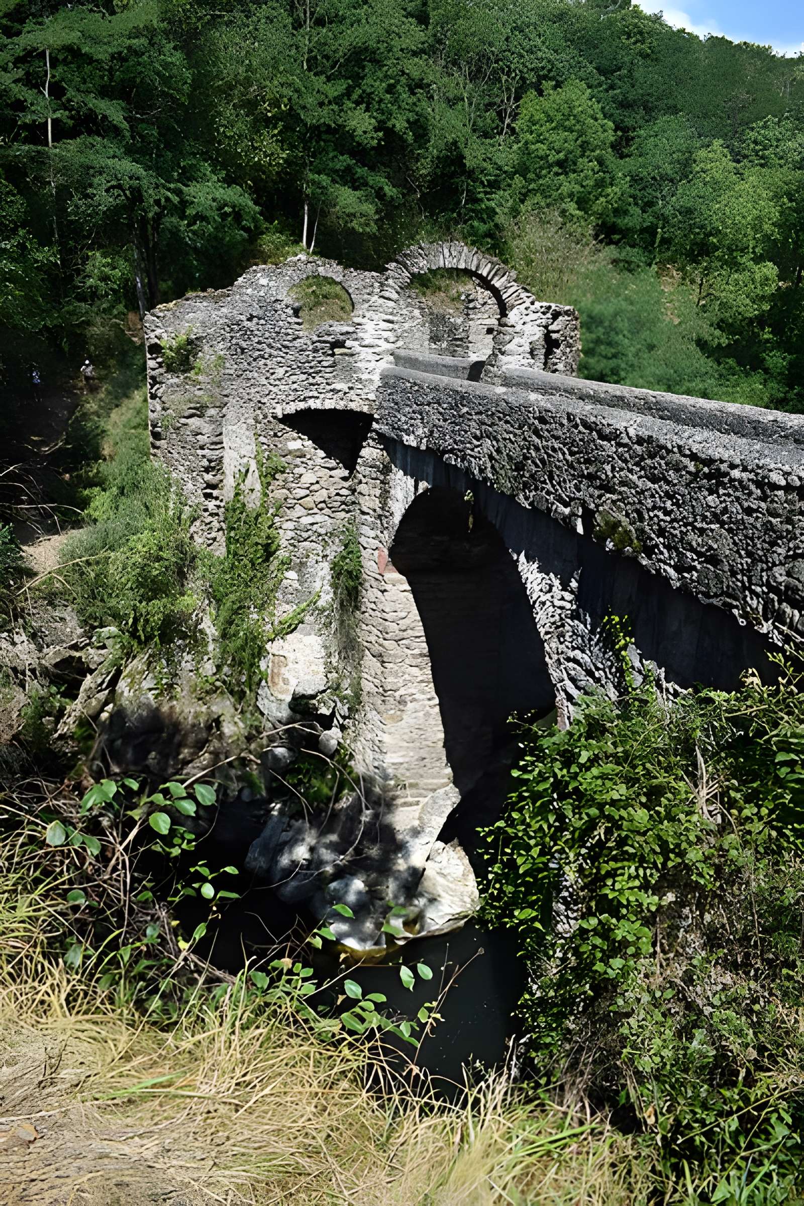 Pont du Diable sur l'Ariège, près de Mercus-Carrabet
