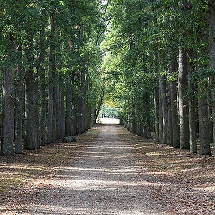 Photo de Château de la Villedubois