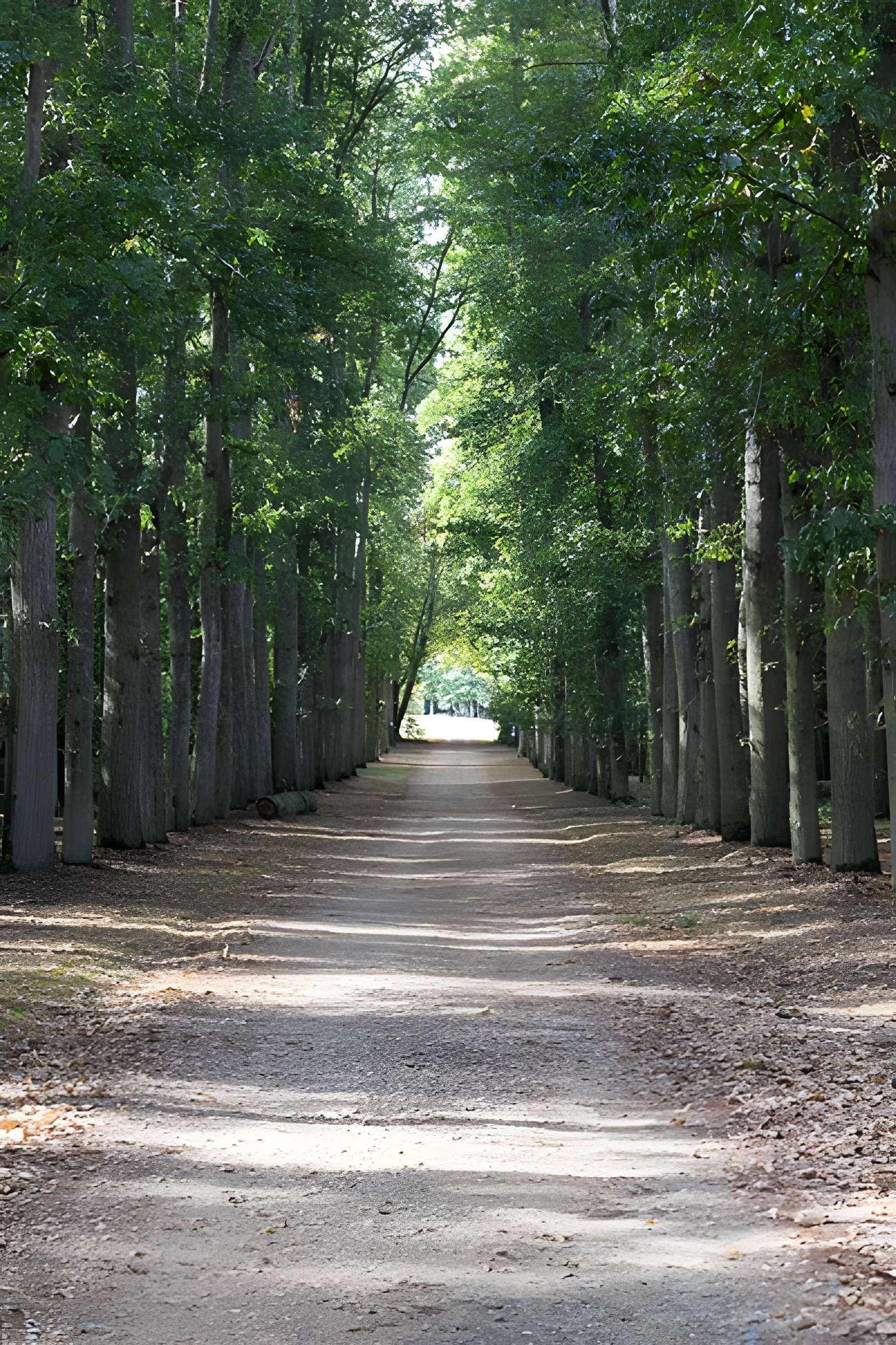 Château de la Villedubois