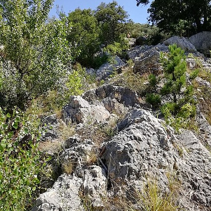 Photo de Pont sur lHérault, dit Pont du Diable également sur commune de Saint-Jean-de-Fos