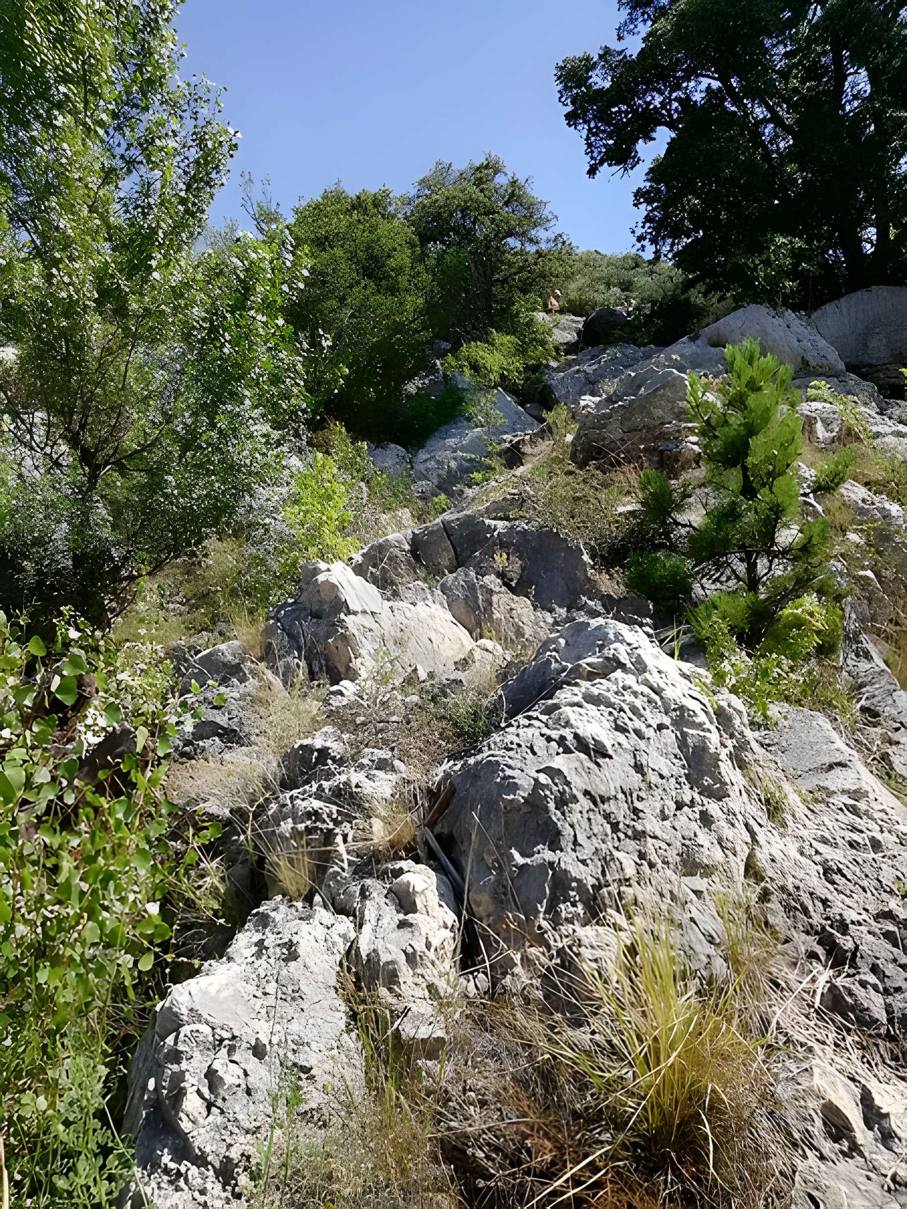 Pont du Diable de Saint-Jean-de-Fos