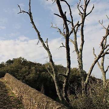 Pont du Diable de Villemagne-lArgentière