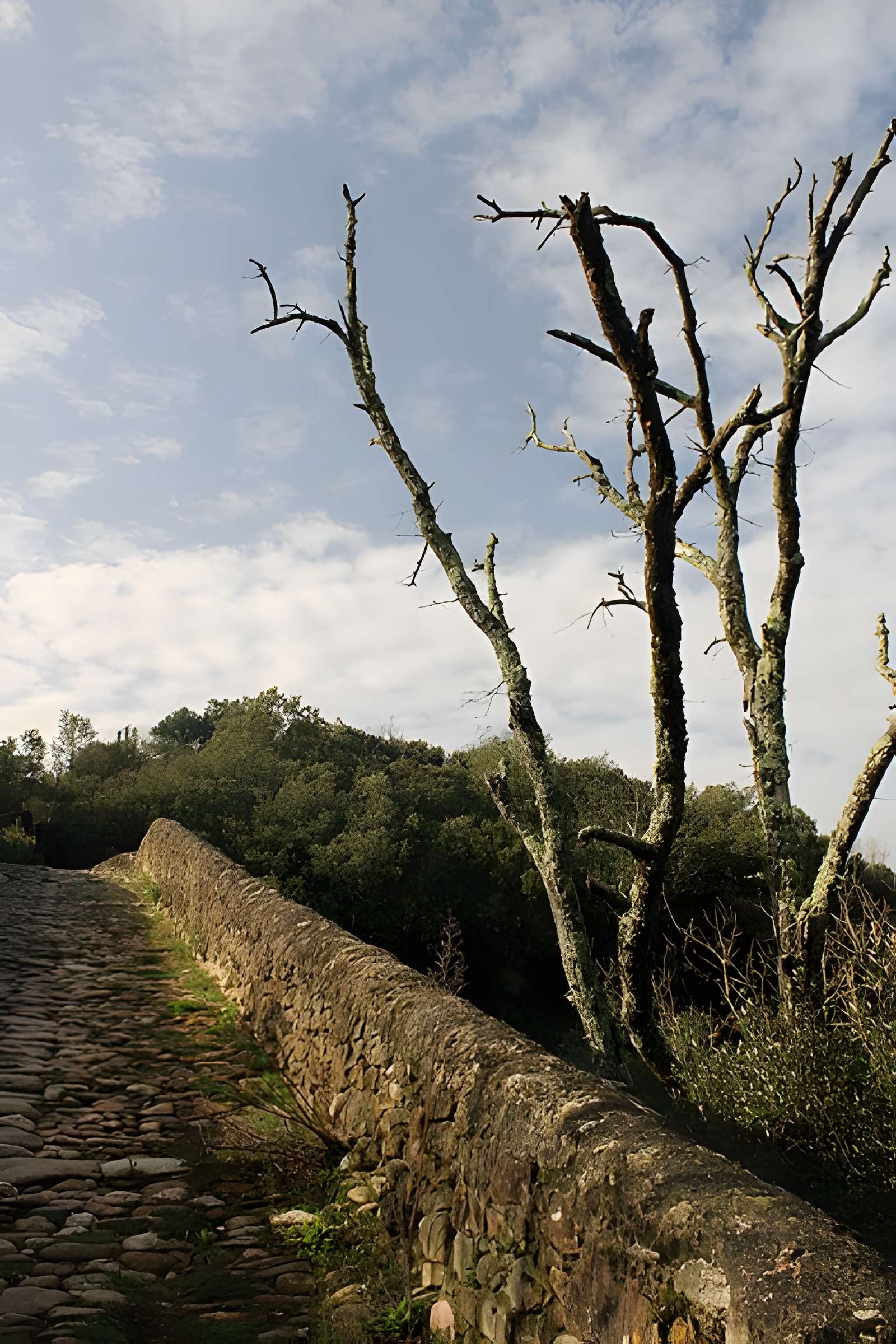 Pont du Diable de Villemagne-l'Argentière