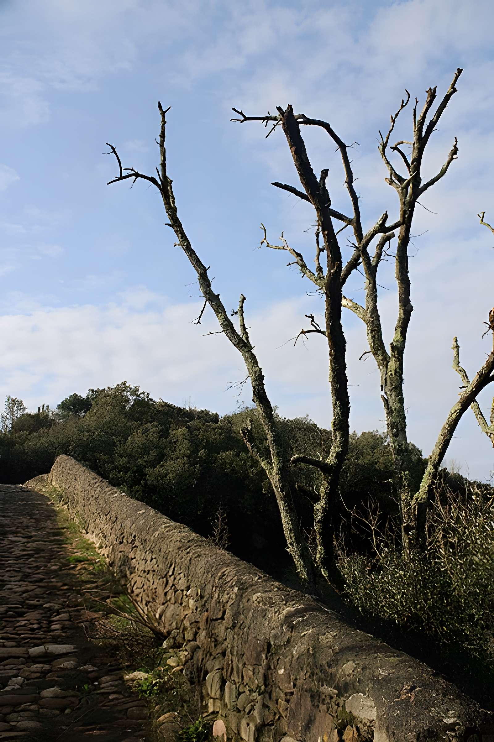 Pont du Diable de Villemagne-l'Argentière