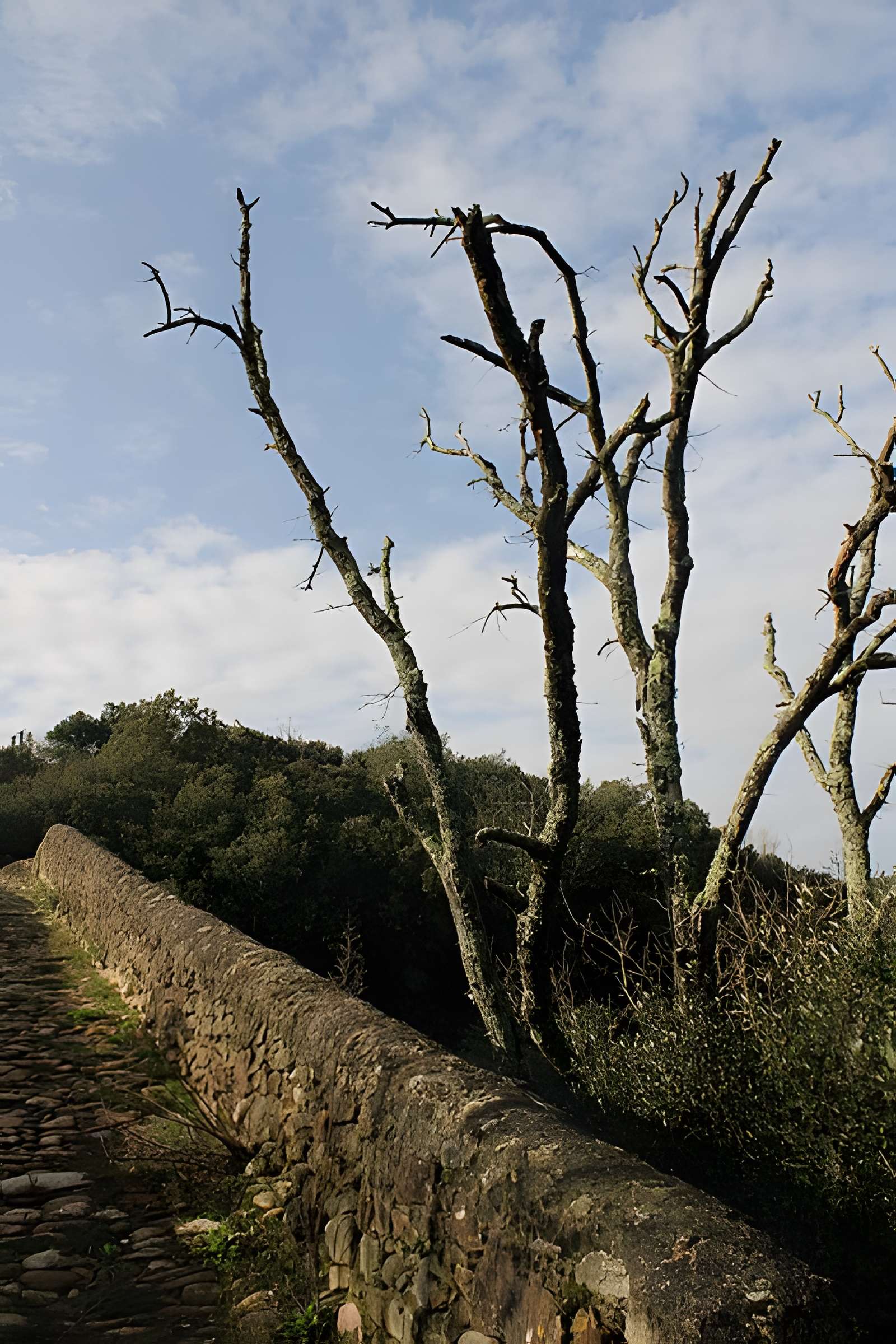 Pont du Diable de Villemagne-l'Argentière