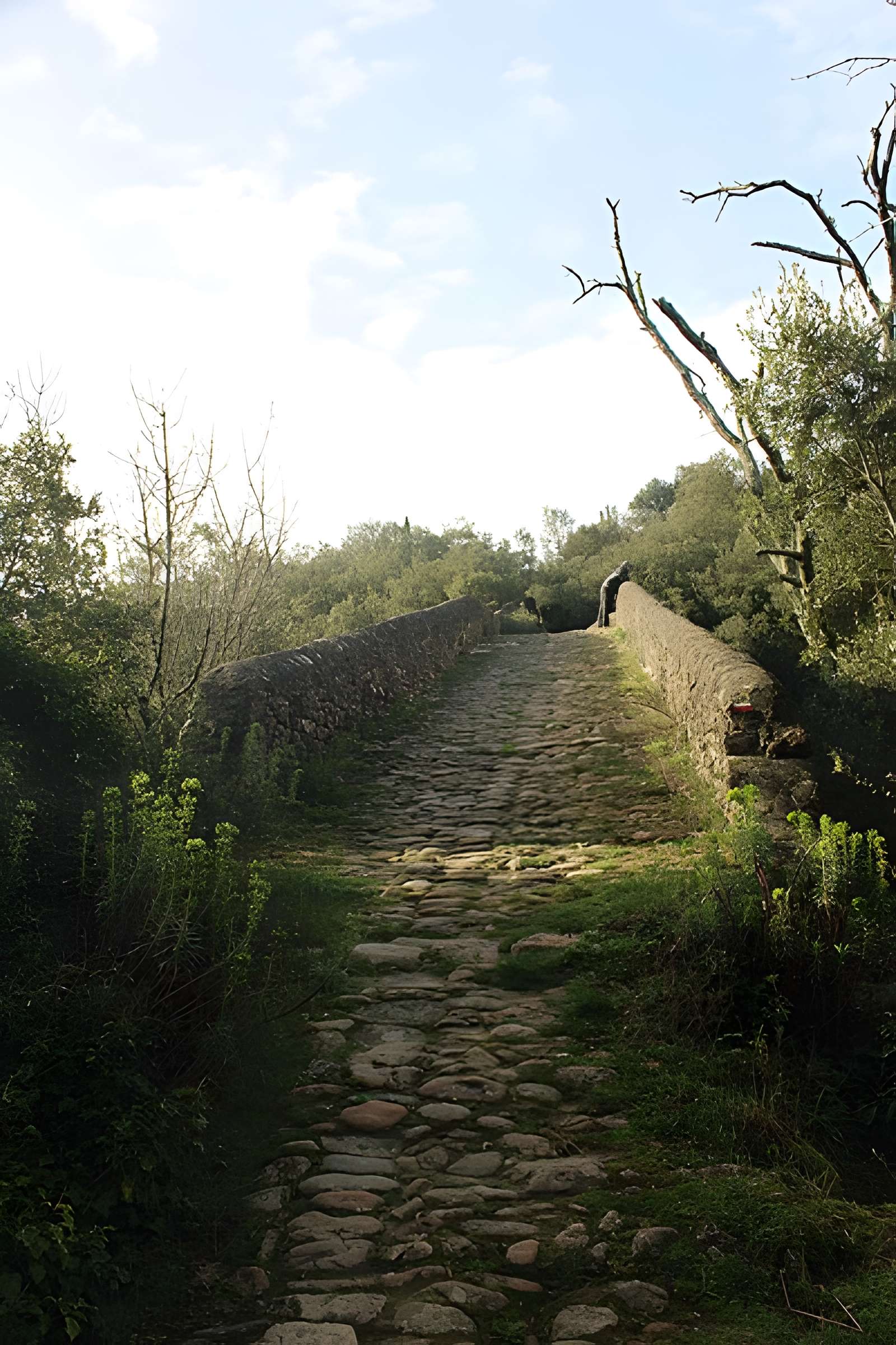 Pont du Diable de Villemagne-l'Argentière