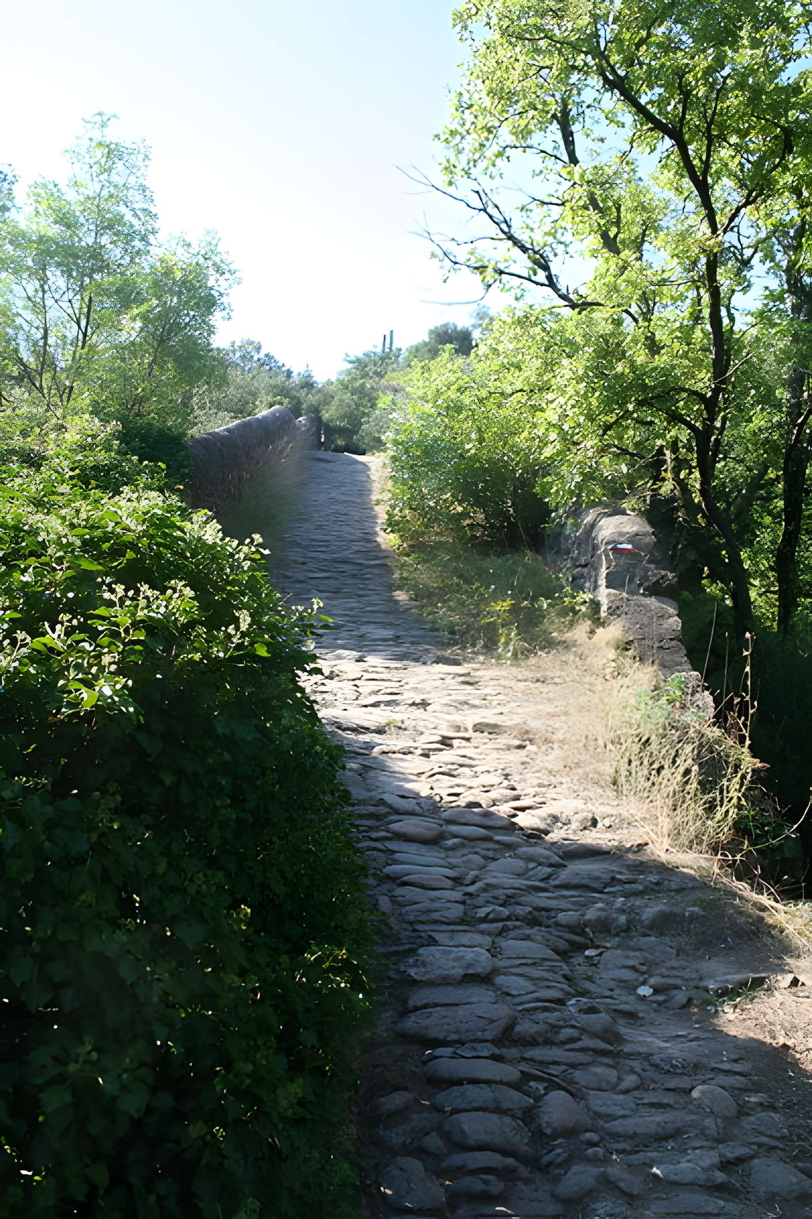 Pont du Diable de Villemagne-l'Argentière