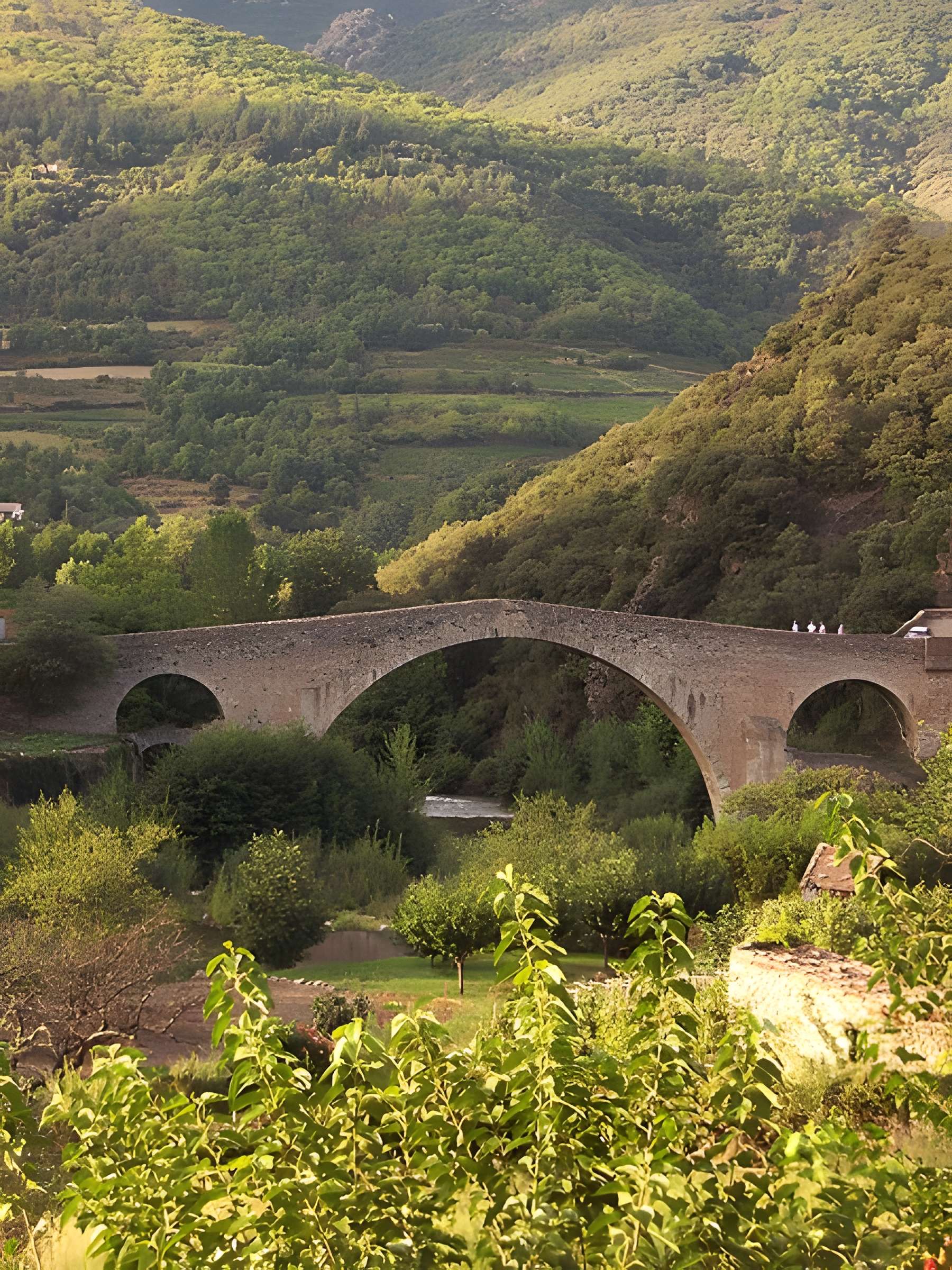 Pont du Diable d'Olargues