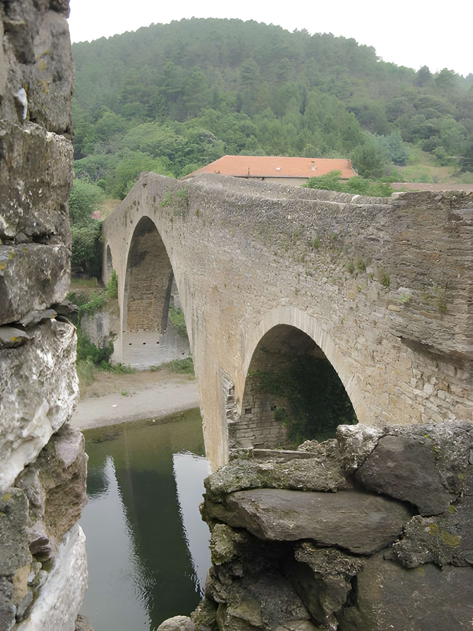 Pont du Diable d'Olargues