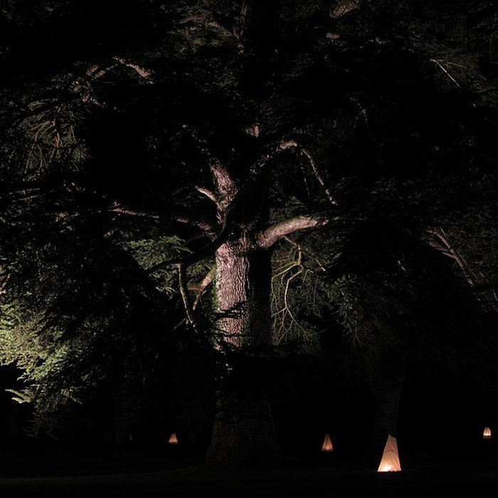 Photo de Château de lAngotière
