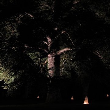 Château de lAngotière