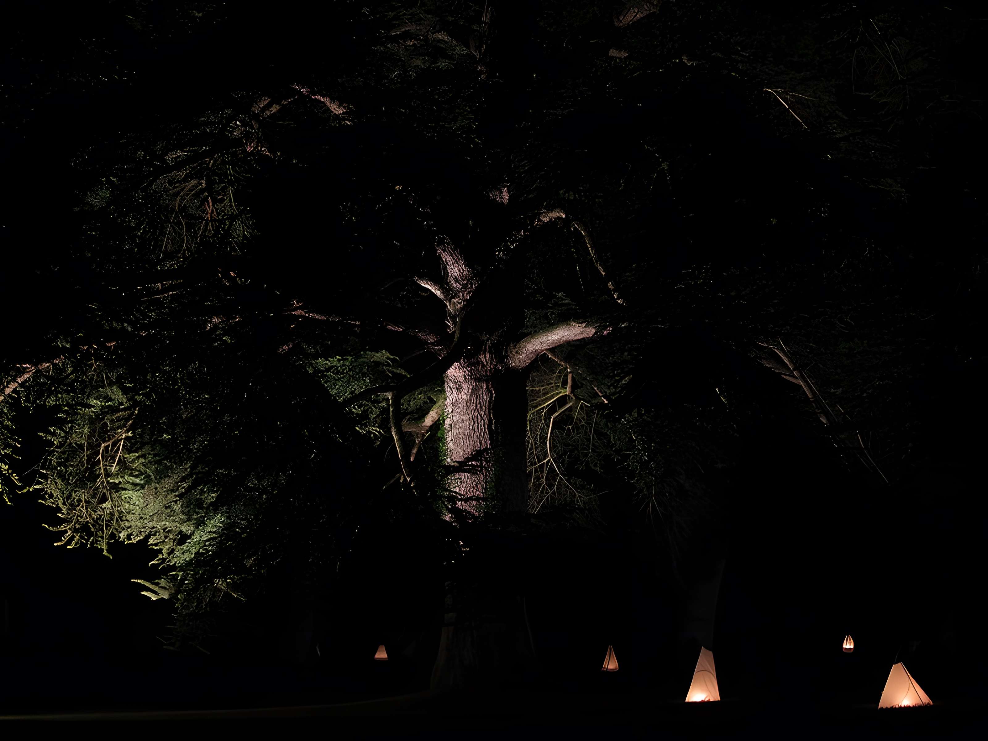 Château de l'Angotière