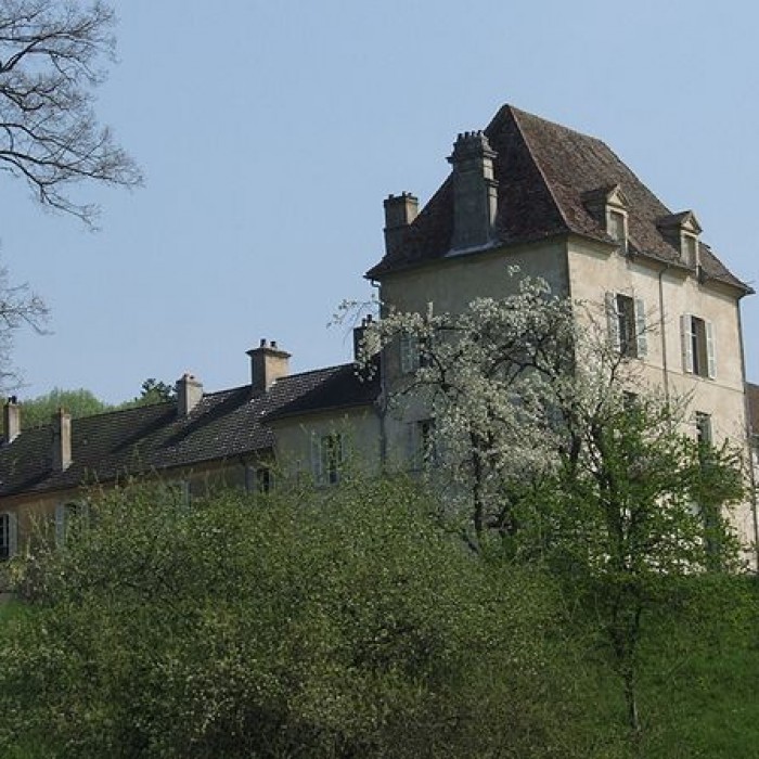 Photo de Château de Lantenay