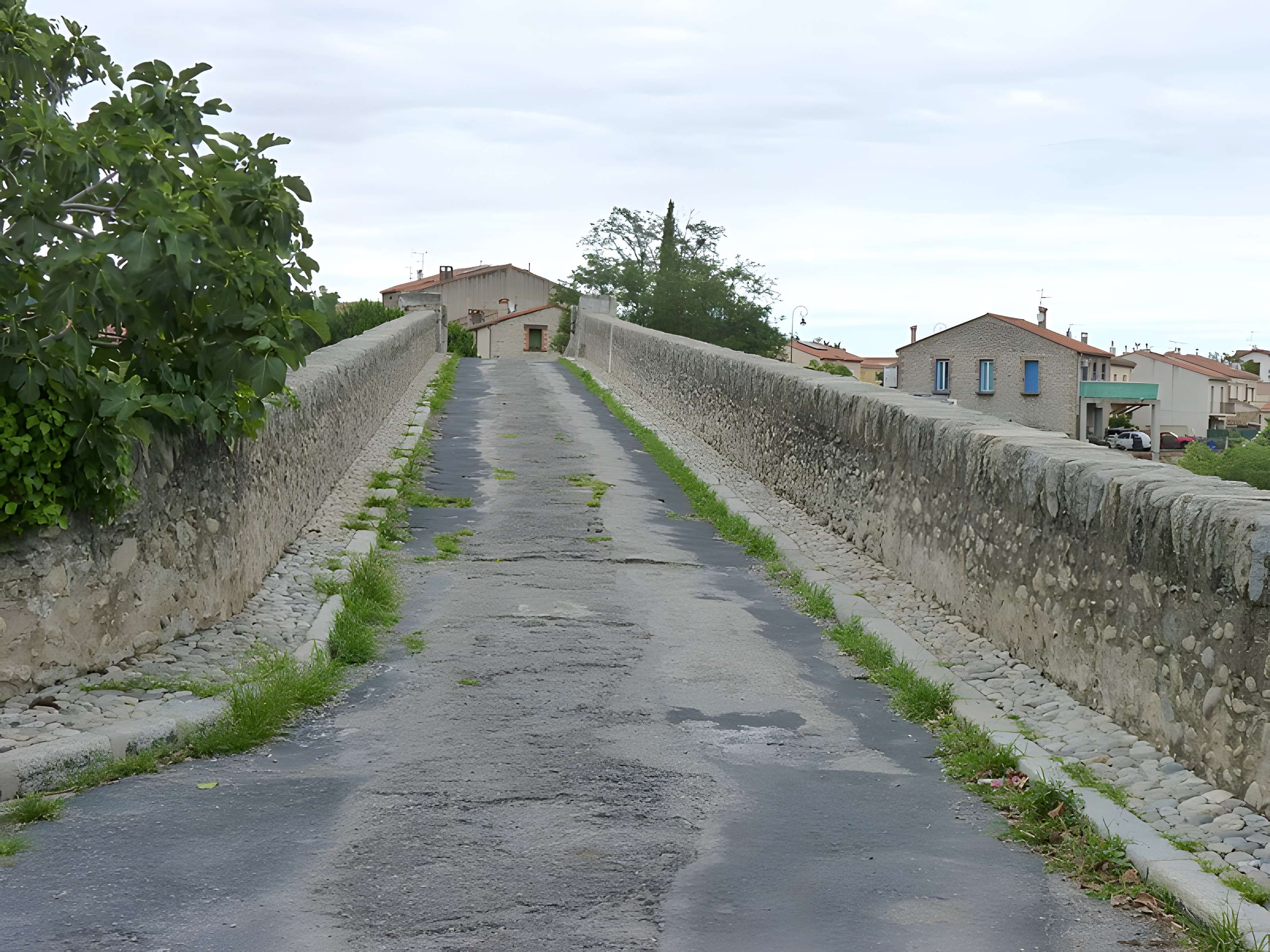 Pont du Diable sur le Tech à Céret