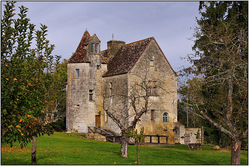 Photo de Château de Laroque à Lanquais