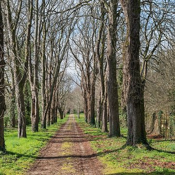 Château de Lascroux