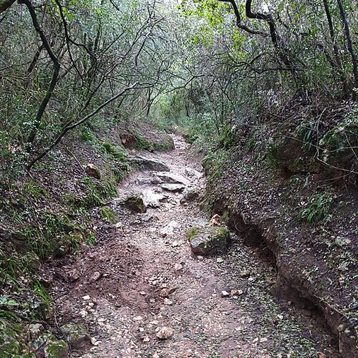 Photo de Pont du Gard