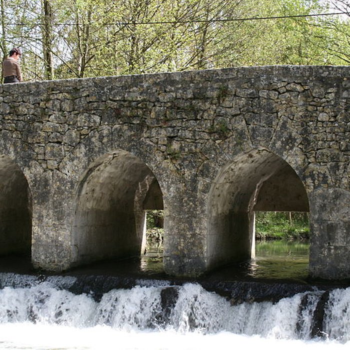 Photo de Pont du Gril de Corbelin