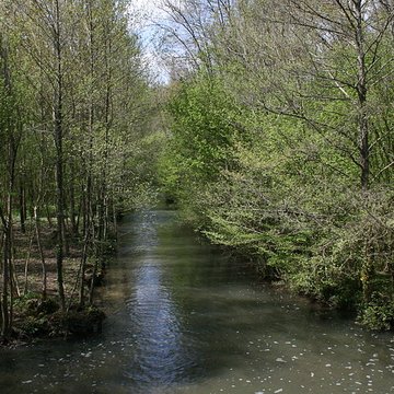 Pont du Gril de Corbelin