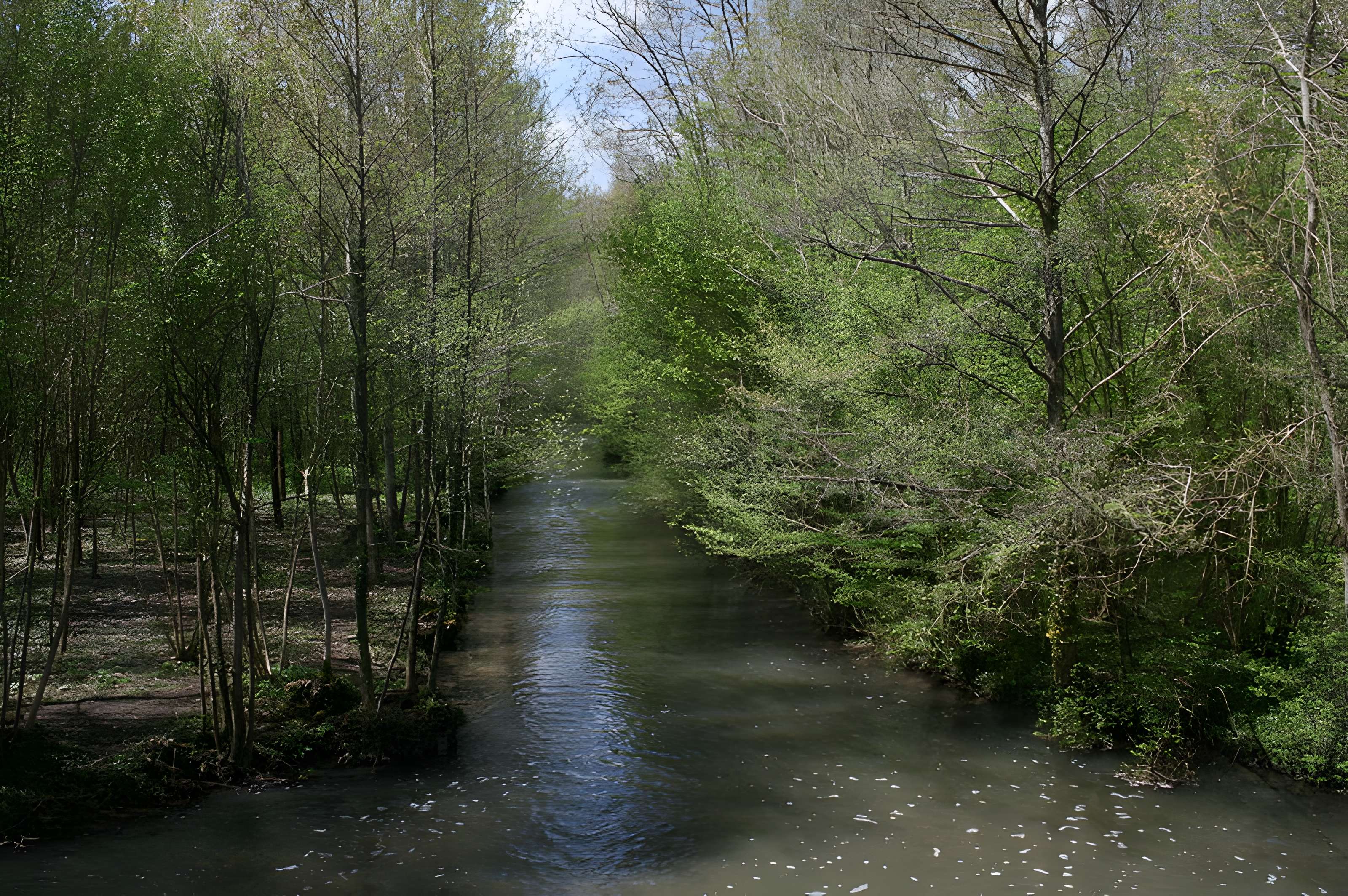 Pont du Gril de Corbelin