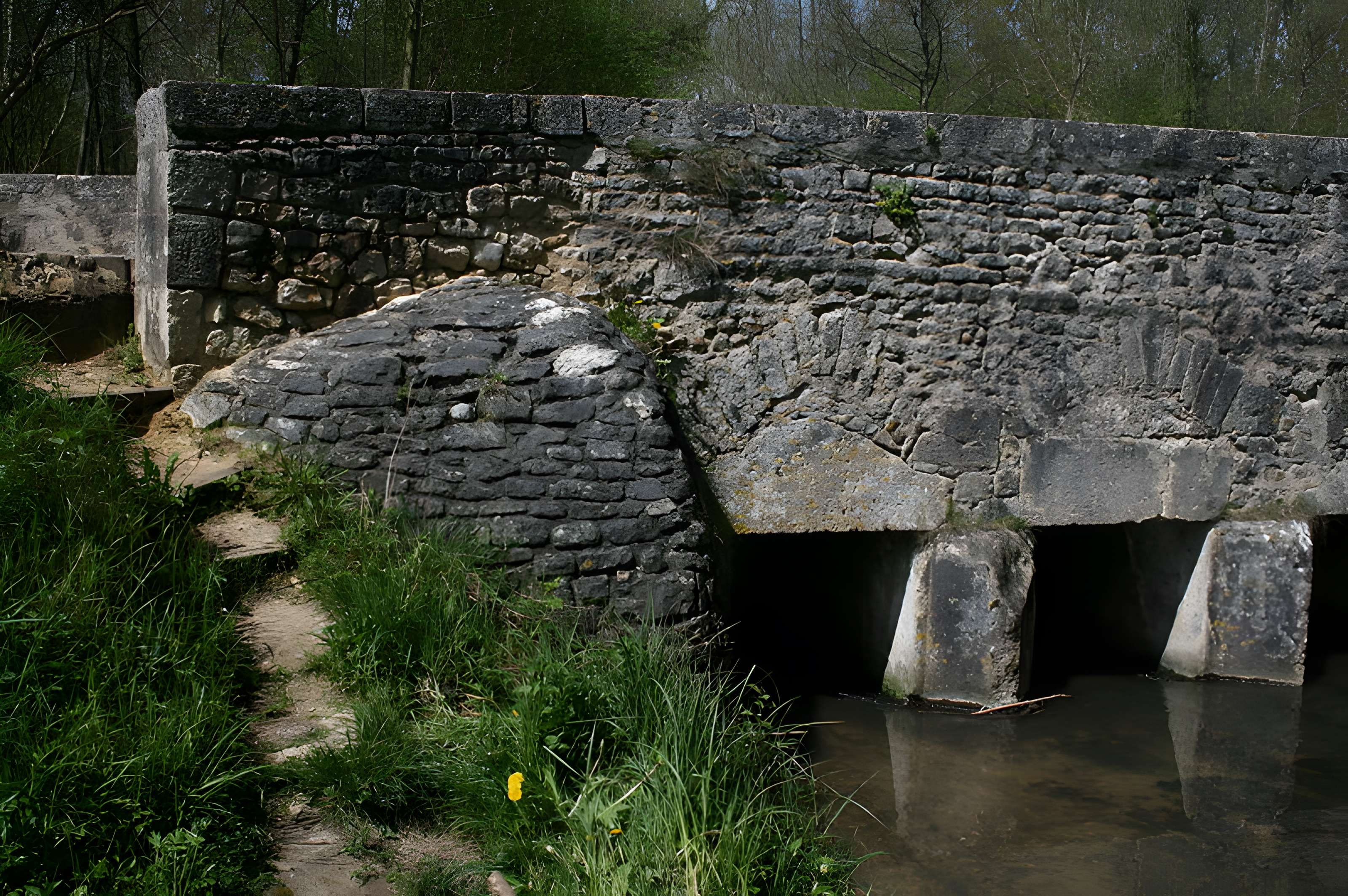 Pont du Gril de Corbelin