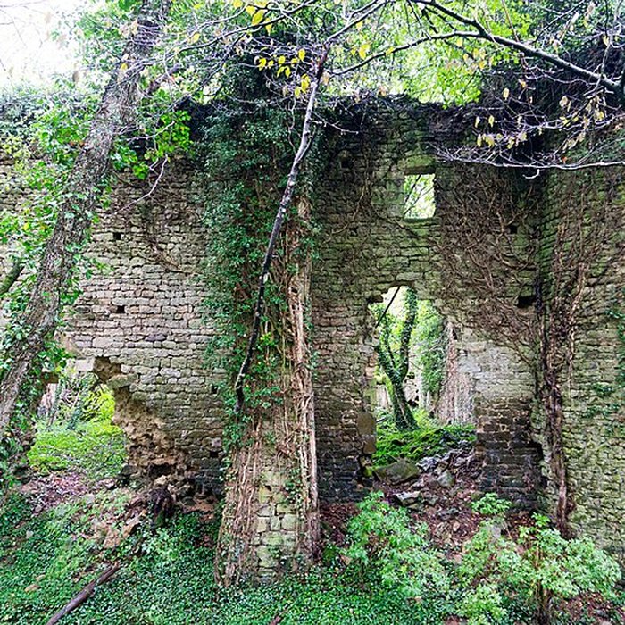 Photo de Château de Ledavrée