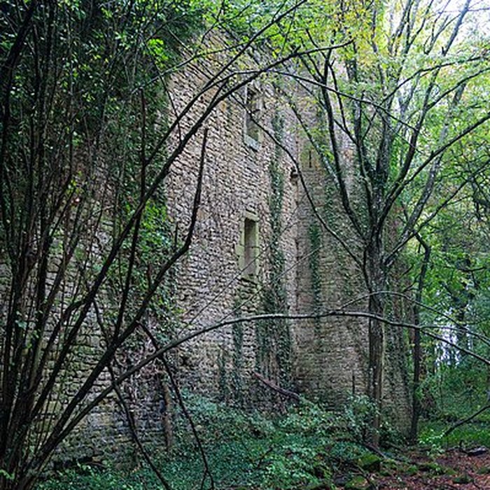 Photo de Château de Ledavrée
