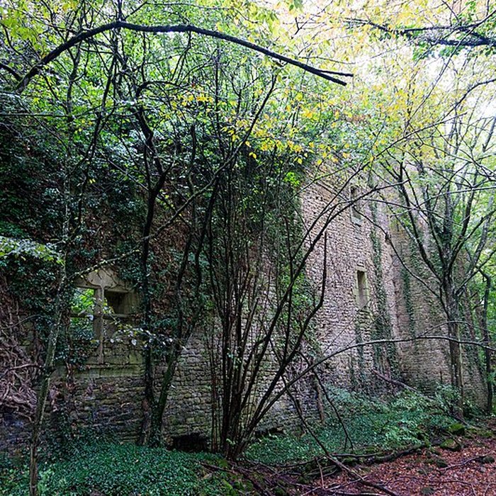 Photo de Château de Ledavrée