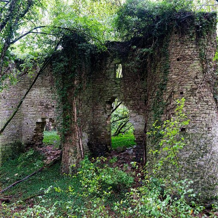 Photo de Château de Ledavrée