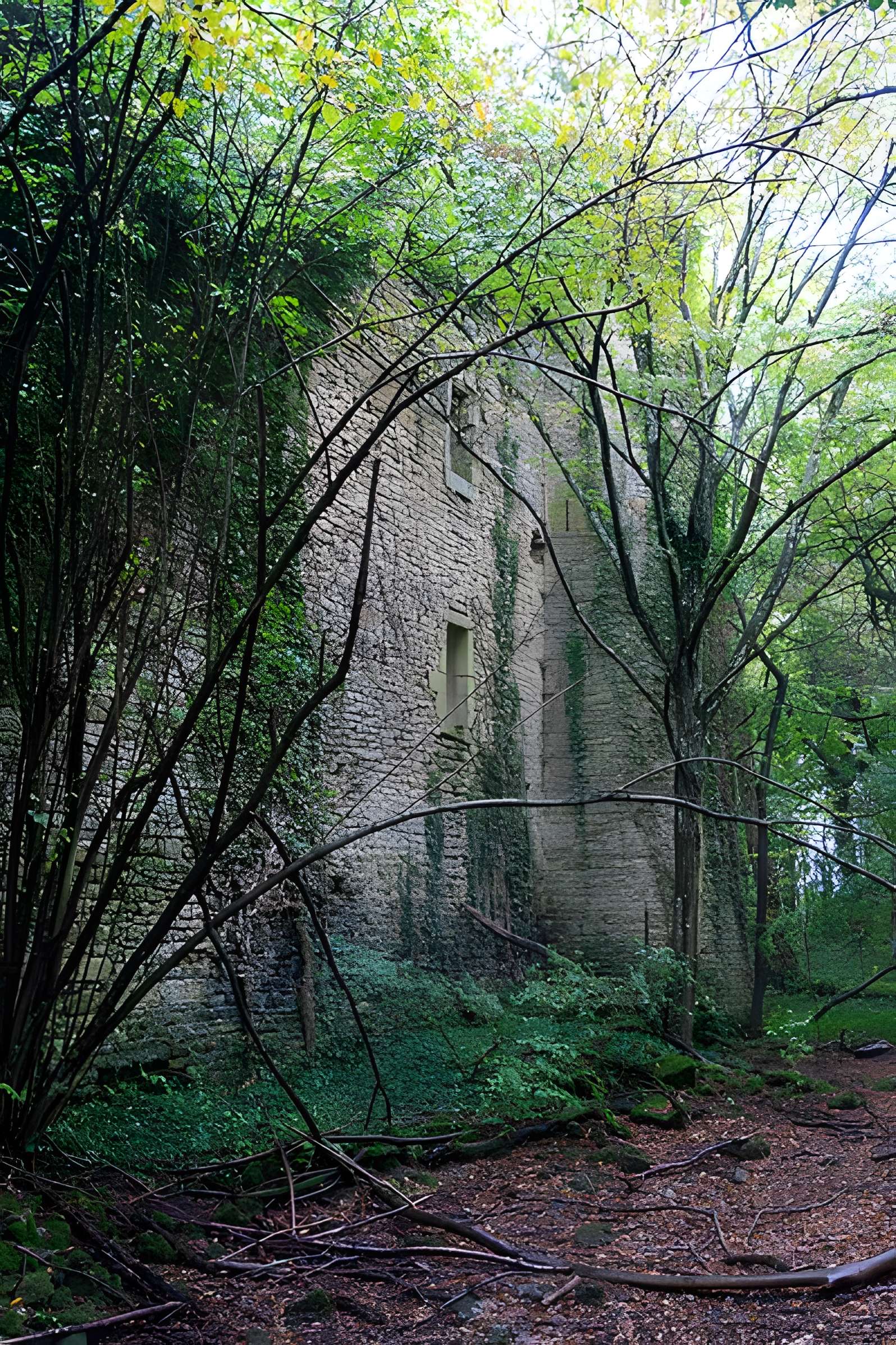 Château de Ledavrée