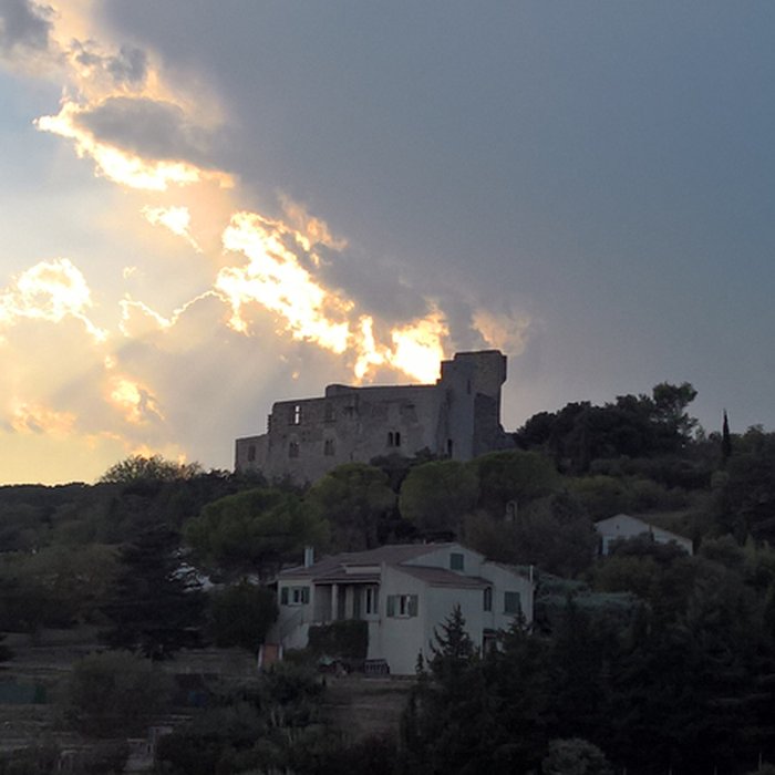 Photo de Château de Lédenon