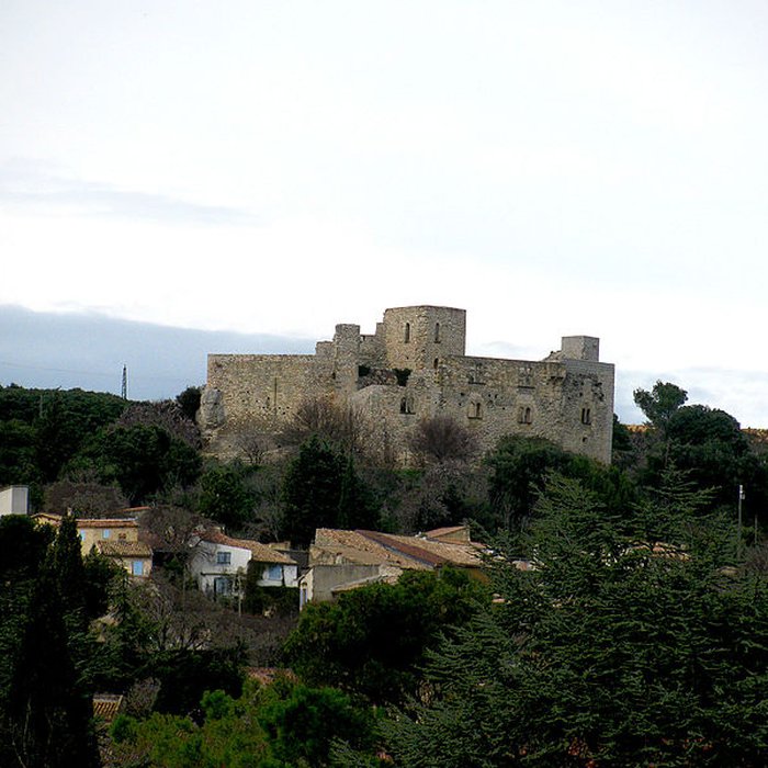 Photo de Château de Lédenon