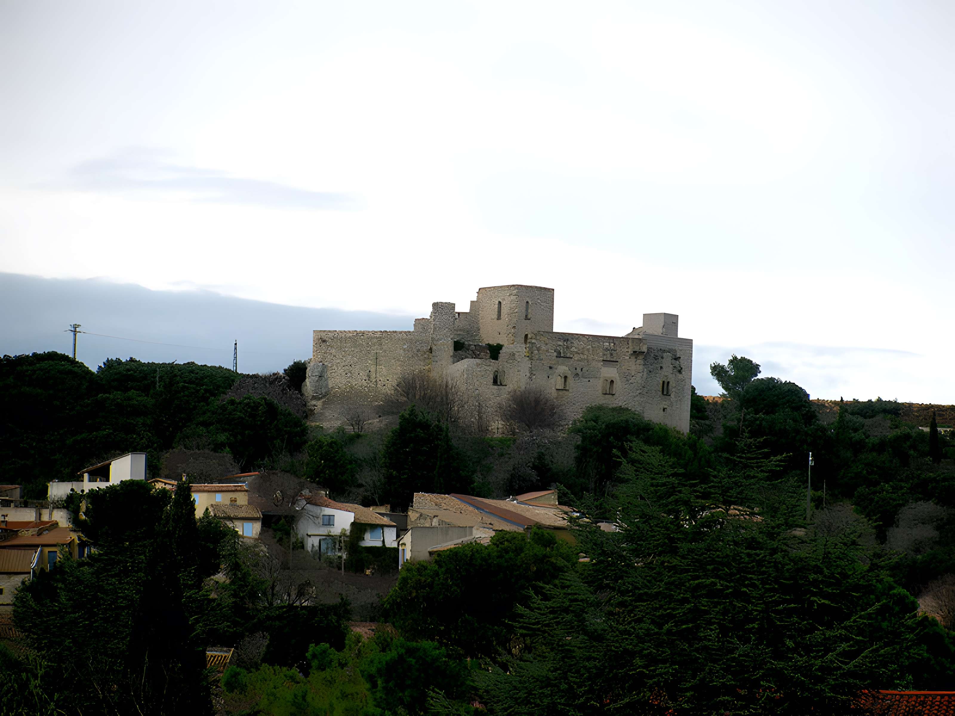 Château de Lédenon