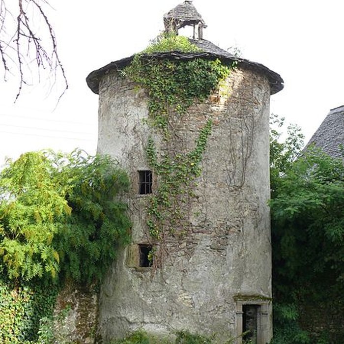 Photo de Château de Légugnon