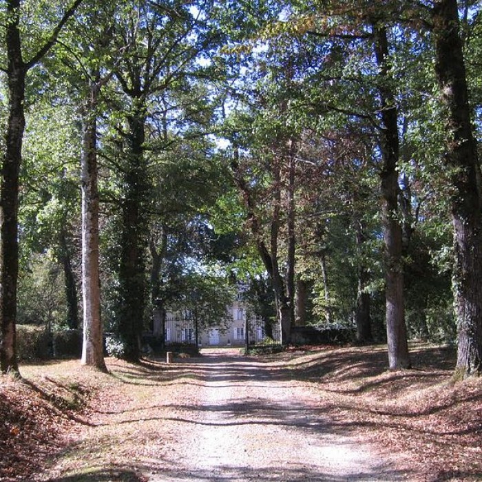 Photo de Château de Leymarie