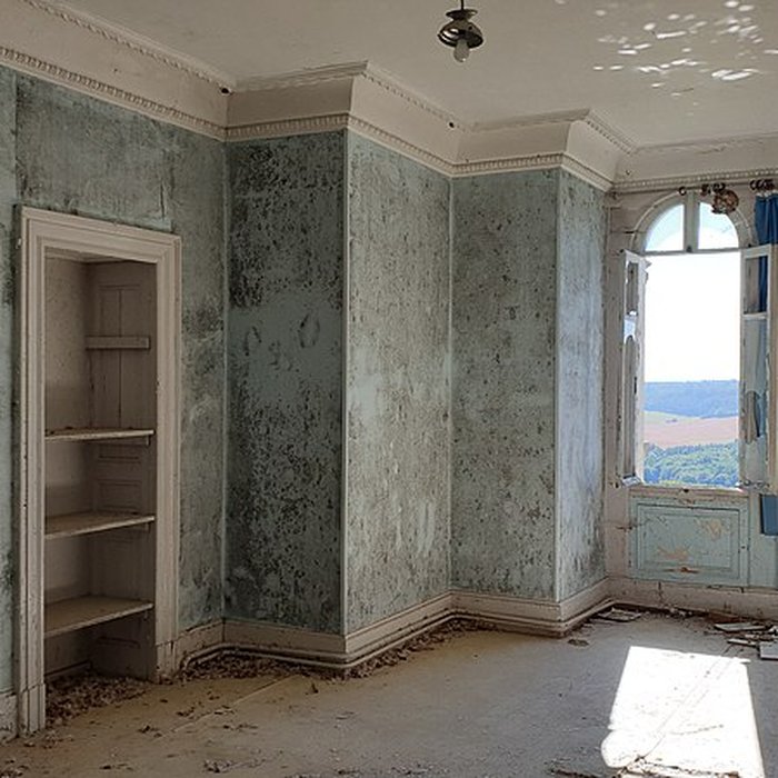 Photo de Château de Leyzarnie