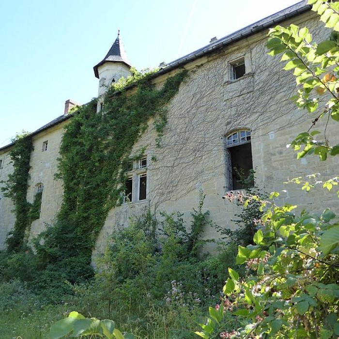 Photo de Château de Lézignac