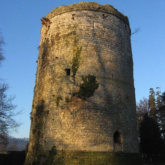 Photo de Château de Lillebonne