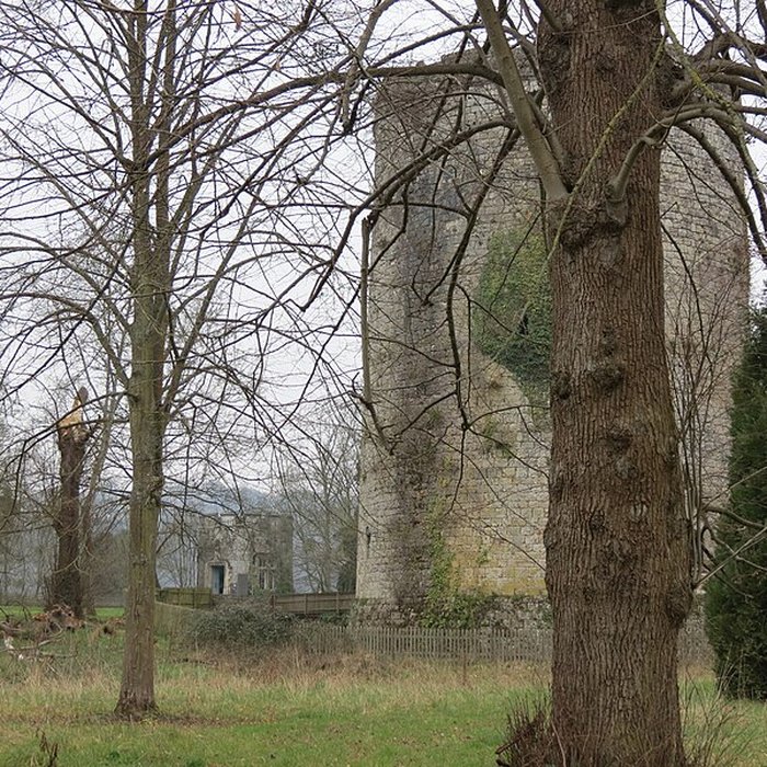 Photo de Château de Lillebonne