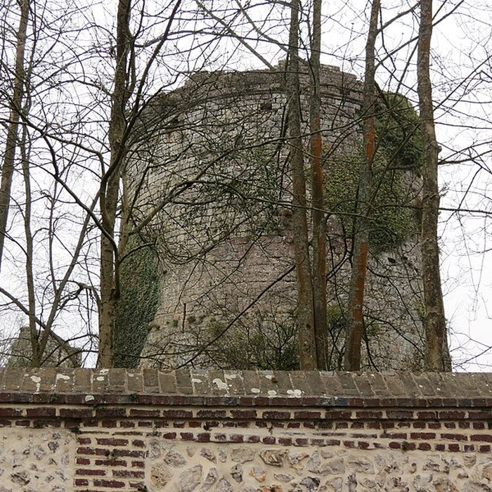 Photo de Château de Lillebonne