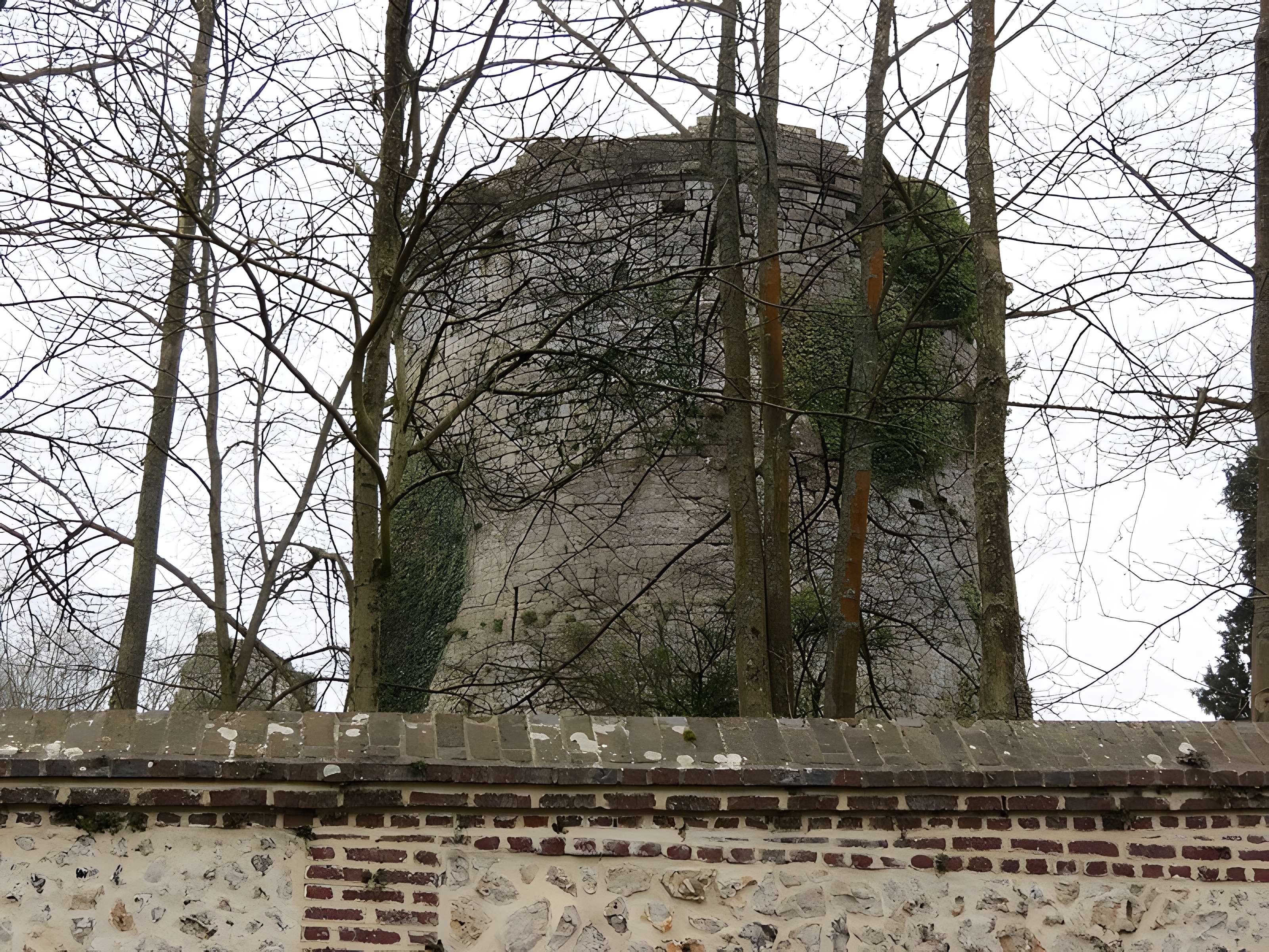 Château de Lillebonne