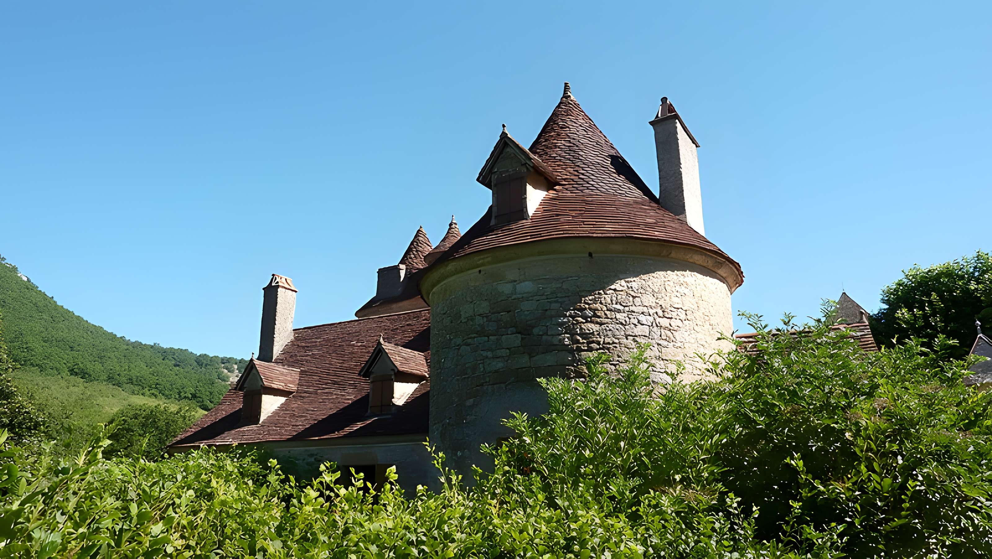 Château de Limargue