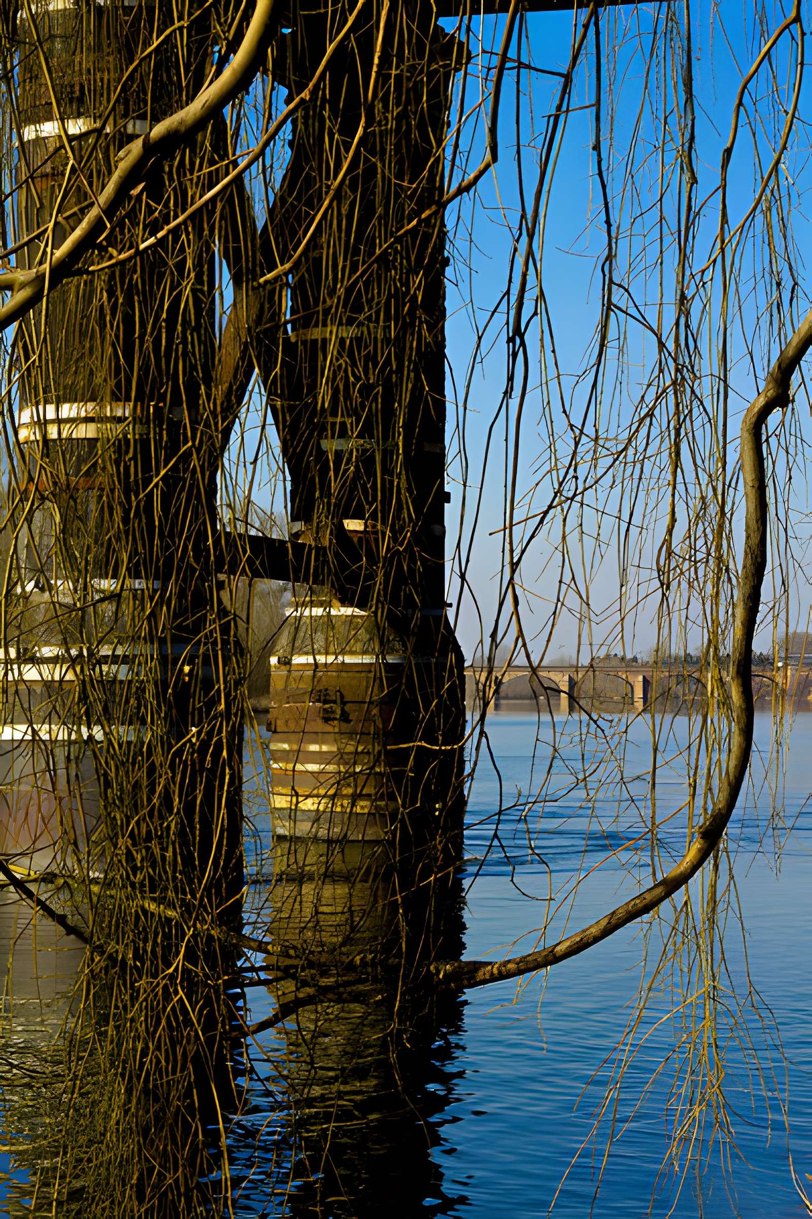 Pont Régemortes de Moulins