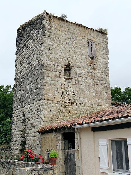 Photo de Château de L'Isle-Bouzon