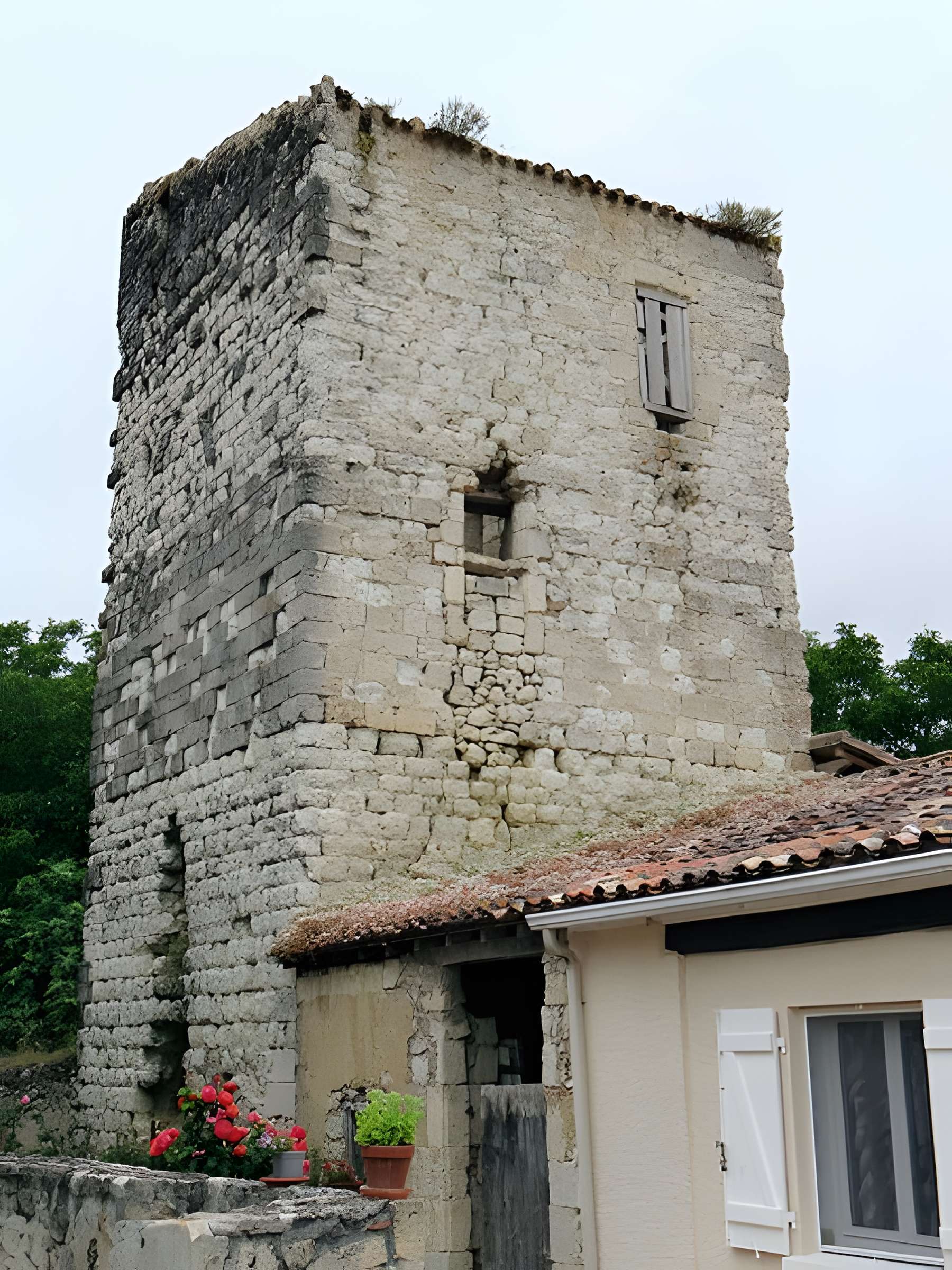 Château de L'Isle-Bouzon 